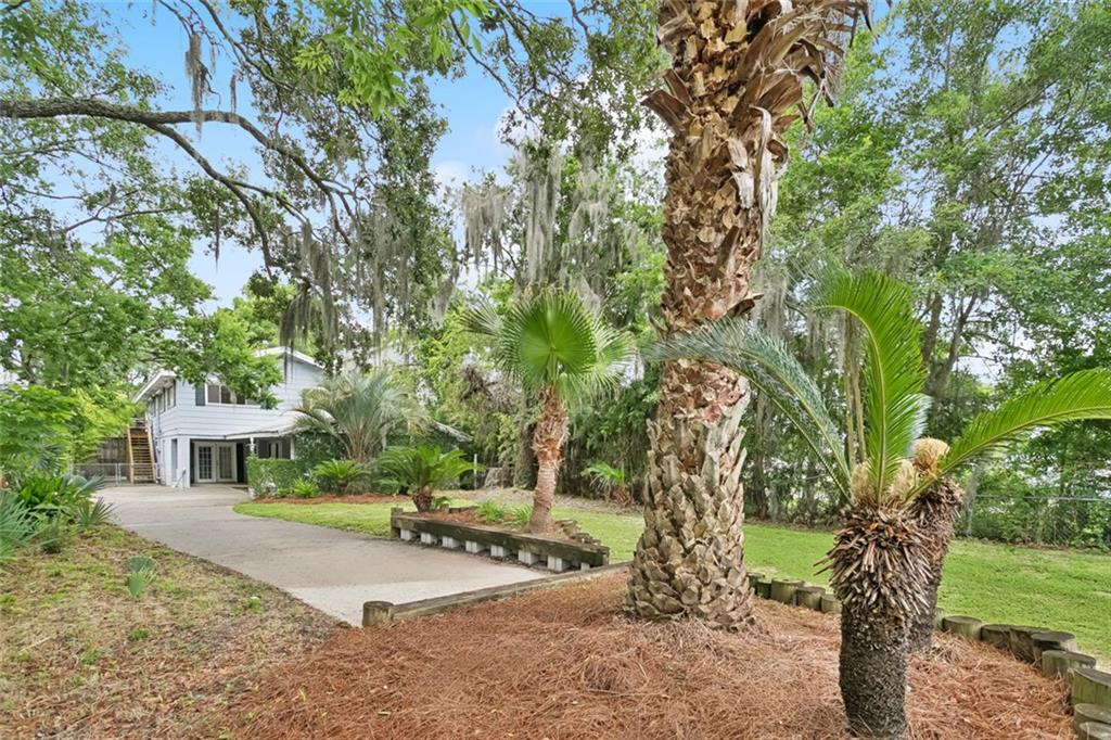 215 Jackson Avenue Mandeville, LA 70448 - Photo 4 of 41