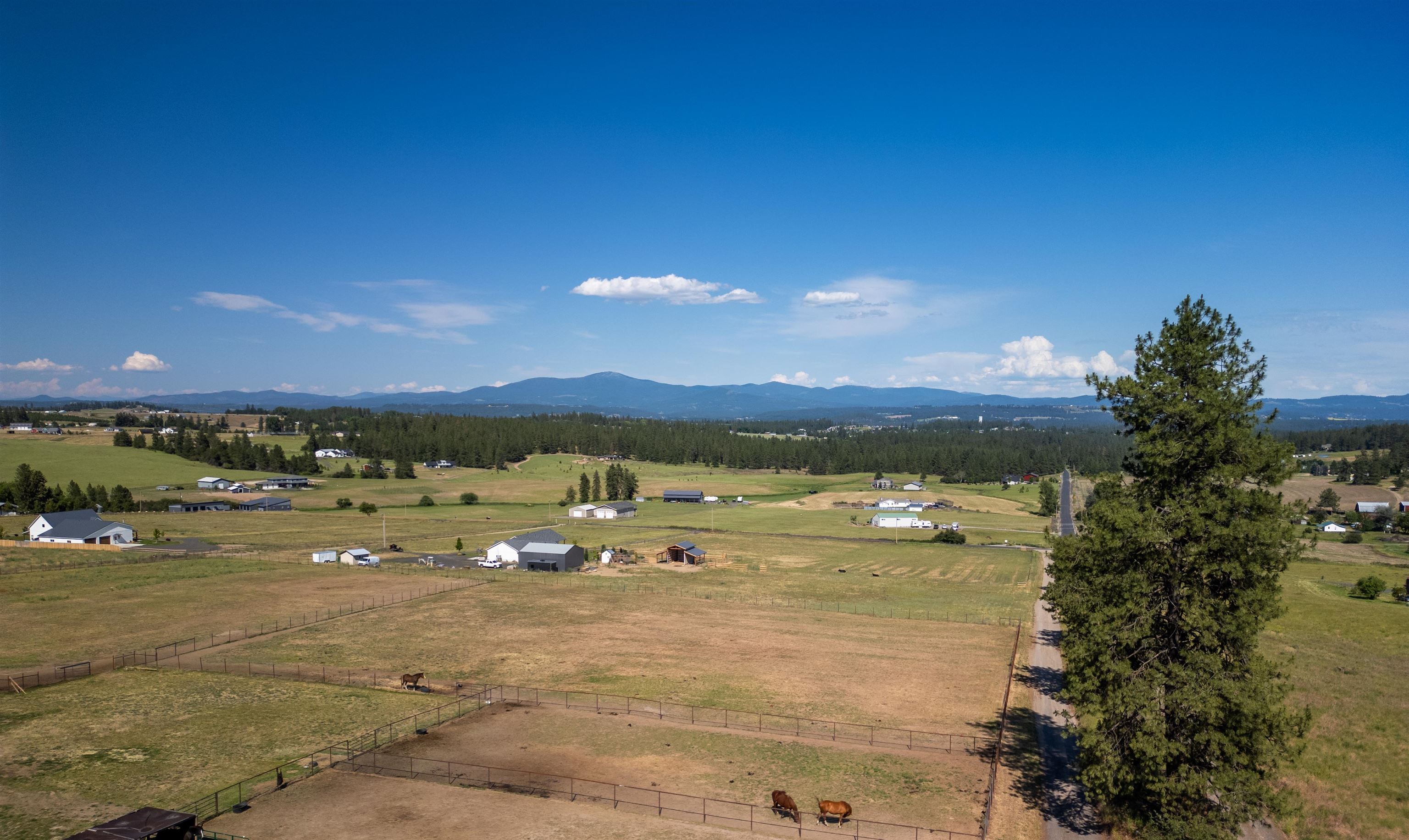 17503 North Austin Road Spokane, WA 99208 - Photo 3 of 42