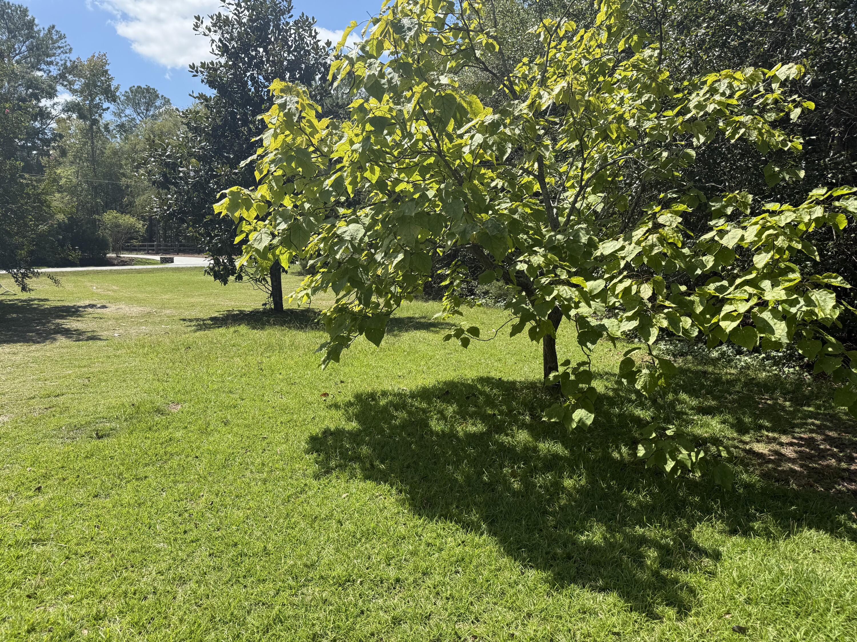 5601 Burks Mountain Road, Unit 12 Appling, GA 30802 - Photo 18 of 21 IMG_1645