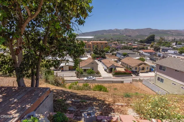 a view of a yard with plants