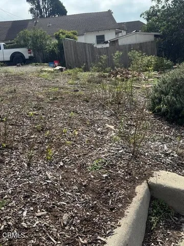 a view of a yard with plants and large trees
