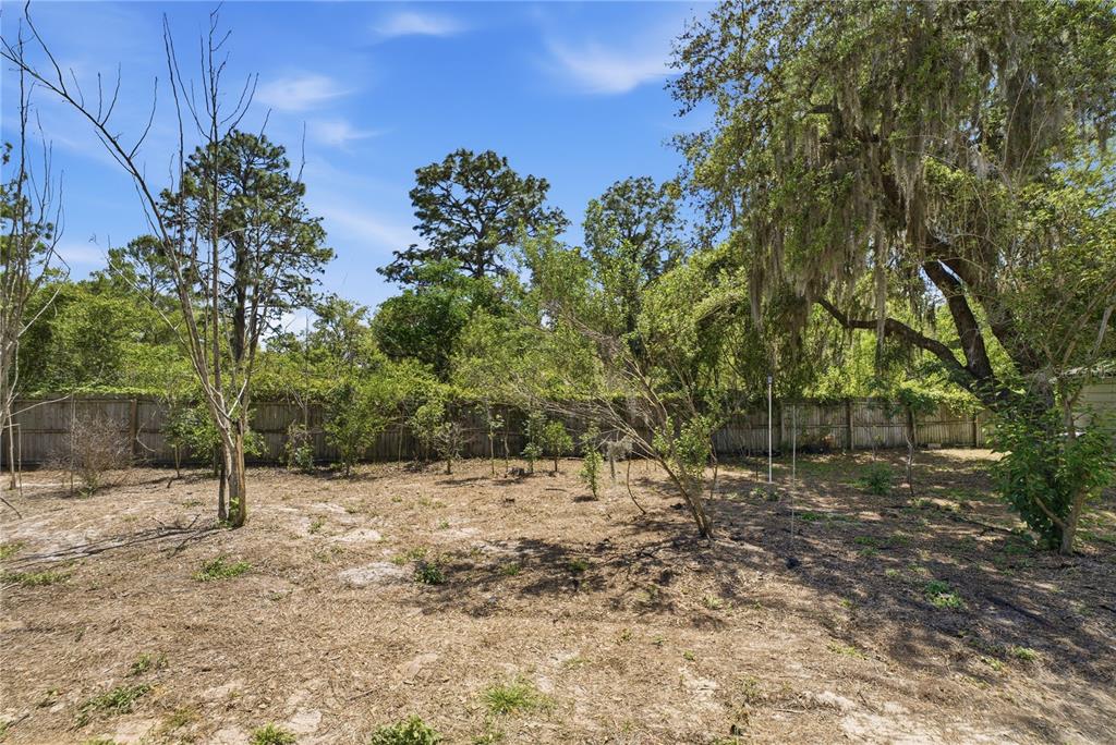 3105 Walk In Water Road Lake Wales, FL 33898 - Photo 50 of 78