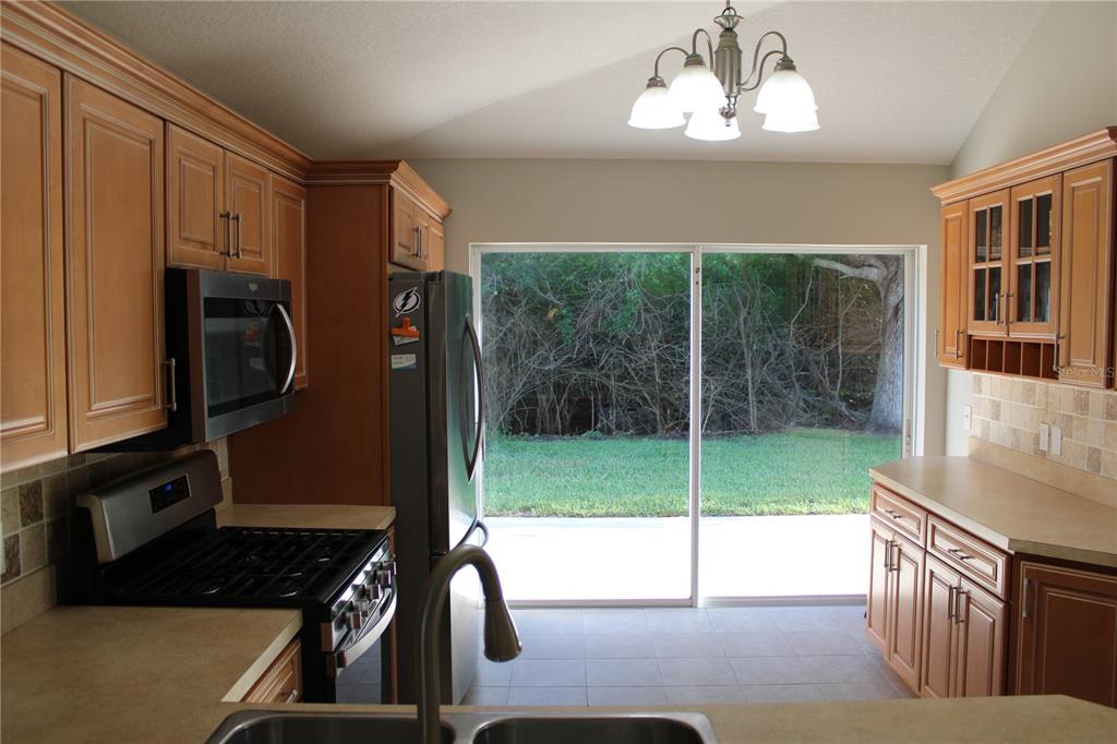 3931 Day Bridge Place Ellenton, FL 34222 - Photo 9 of 48
