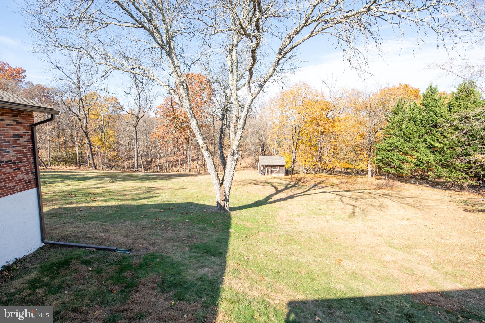 423 Brownsburg Road, Unit W Newtown, PA 18940 - Photo 25 of 109 Backyard