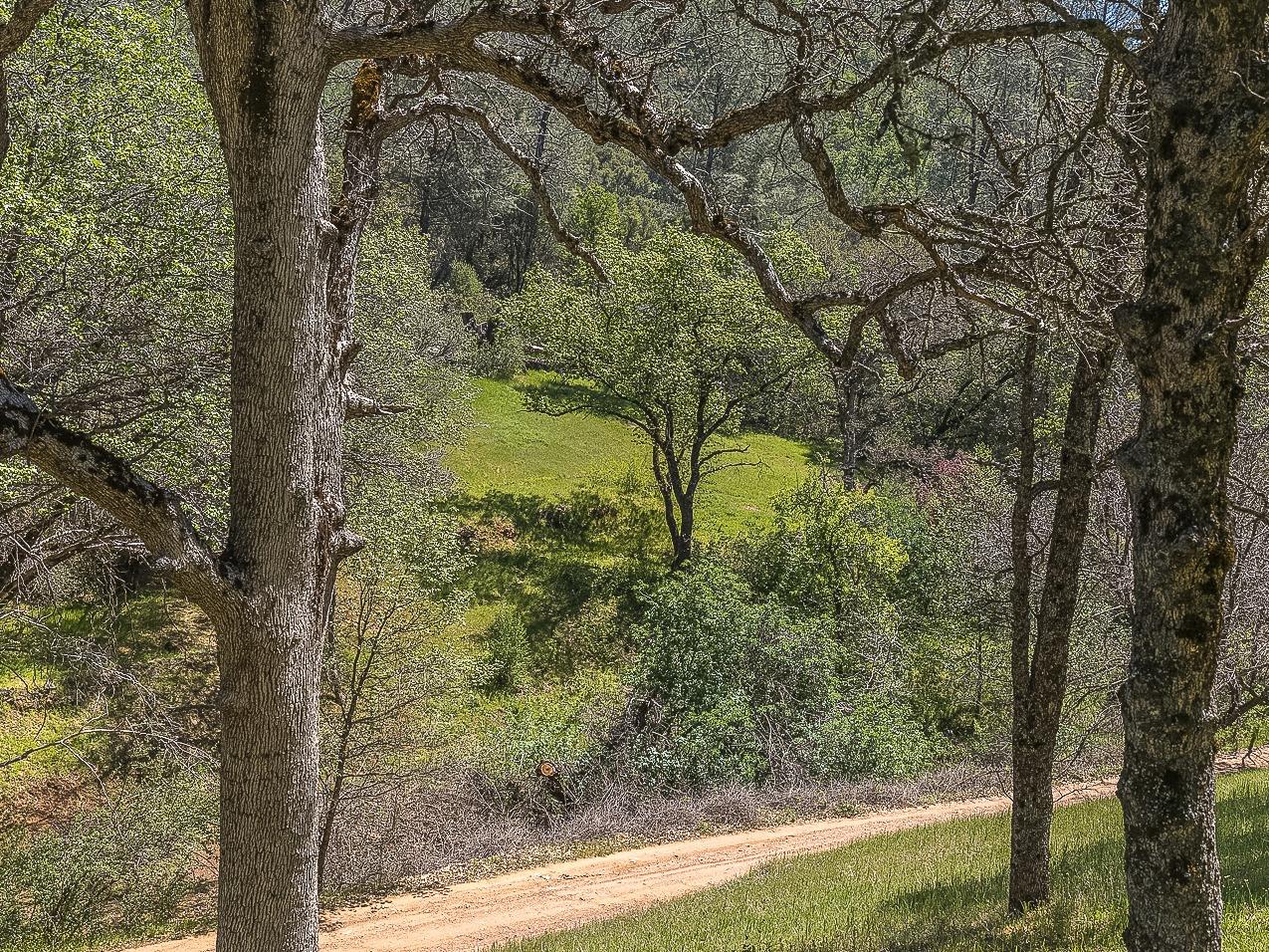 4743 Buffalo Gulch Road Midpines, CA 95345 - Photo 6 of 43 Gallery Image 6