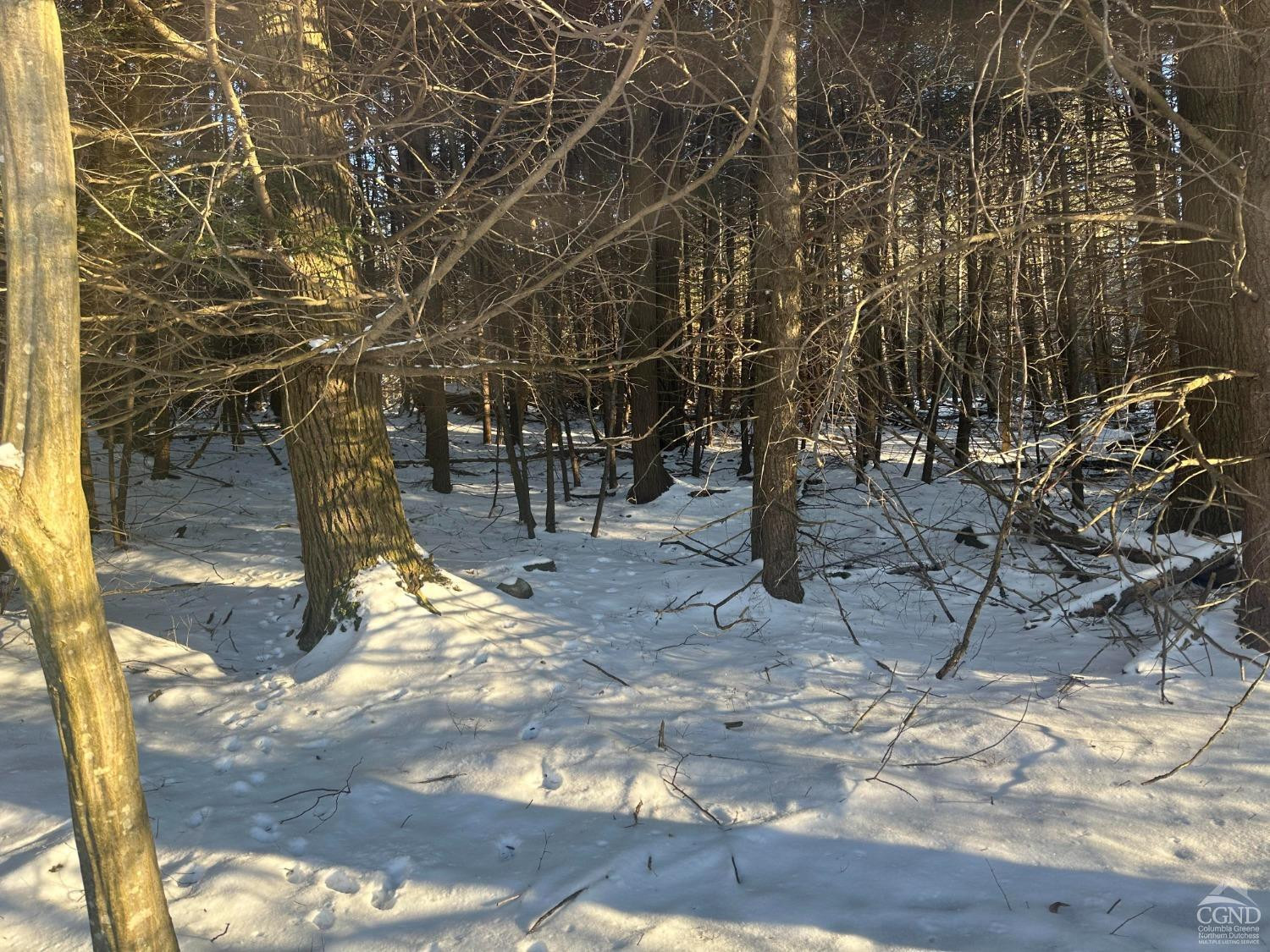 76 Park Road Jewett, NY 12444 - Photo 5 of 14 Photo 5