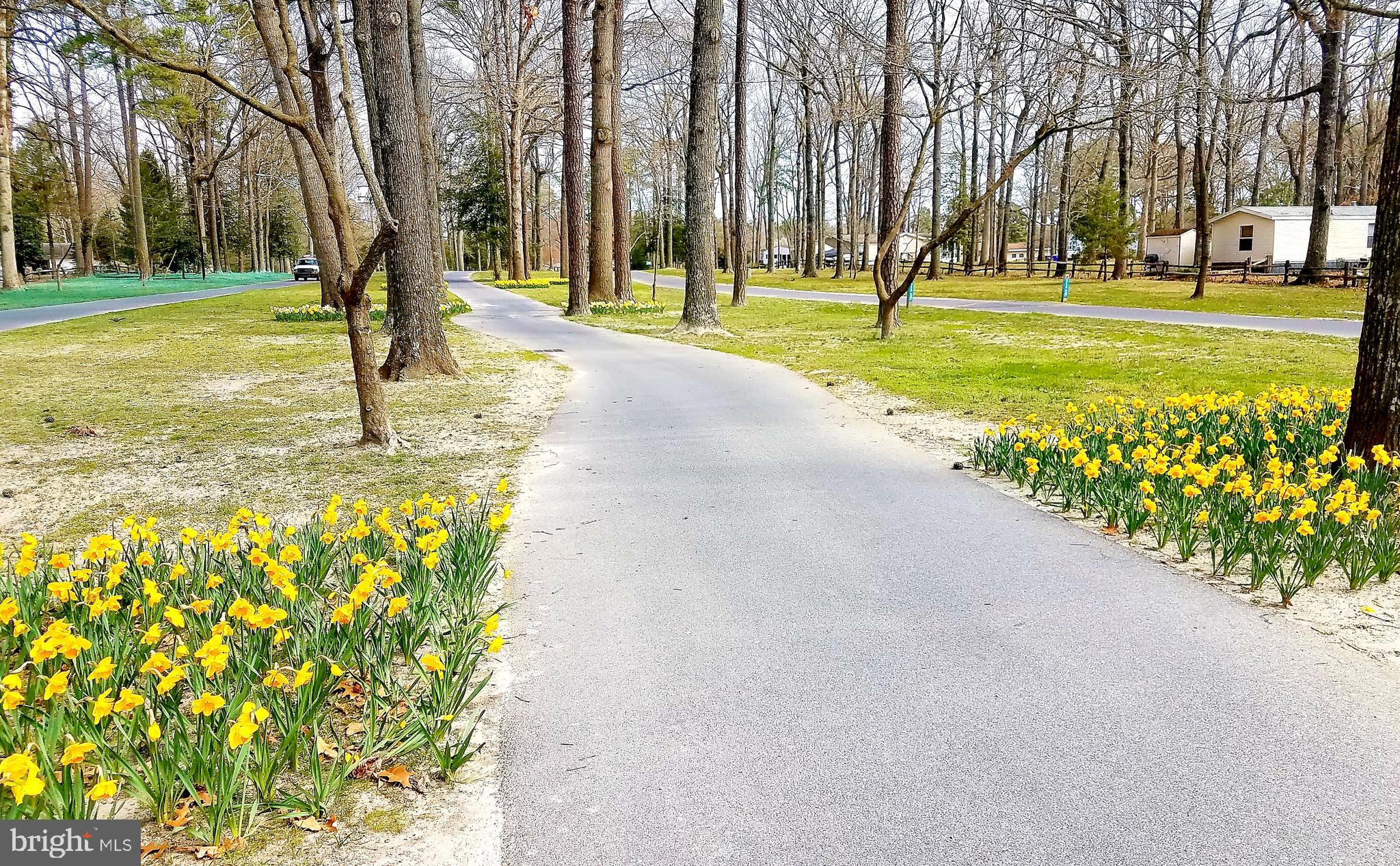 34403 Honeyspot Road Millsboro, DE 19966 - Photo 47 of 48 All roads lead to the beach!
