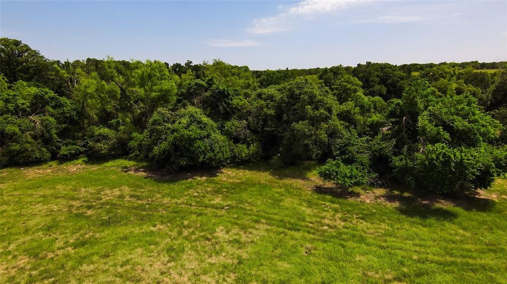 269 Balch Road Elgin, TX 78621 - Photo 8 of 39
