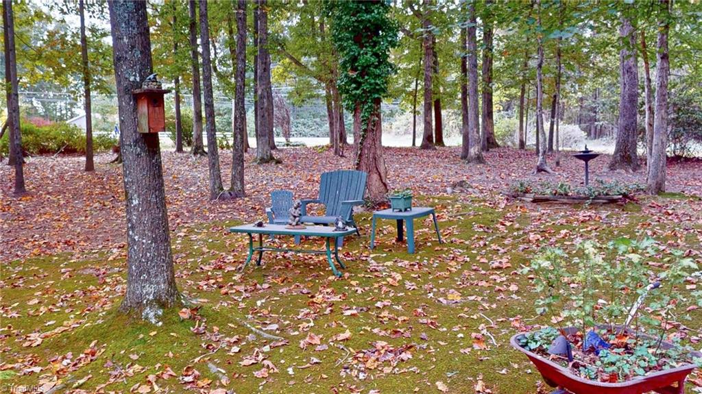 6534 Frazier Marsh Road Archdale, NC 27263 - Photo 31 of 34