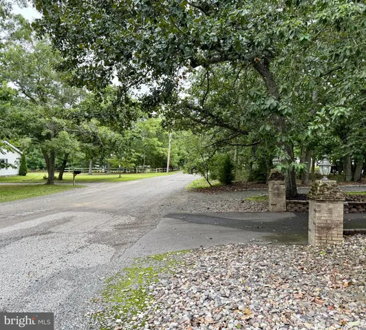 a view of a yard with plants and trees