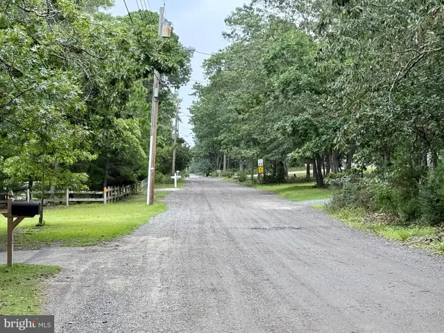 a view of a park with tree s