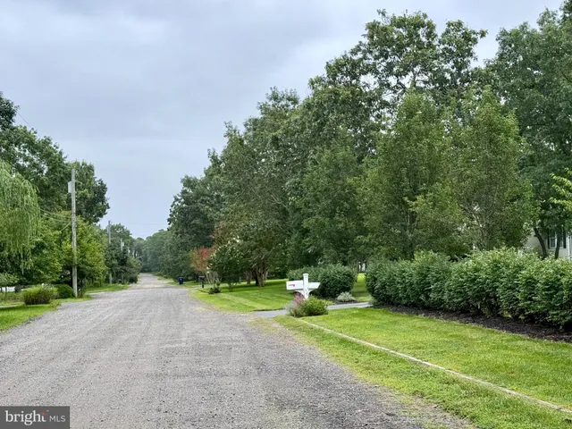 a view of a field with trees