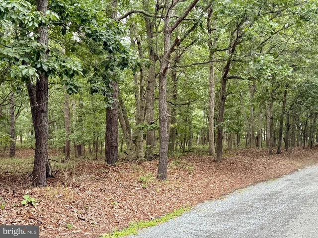 a backyard of a house with lots of trees