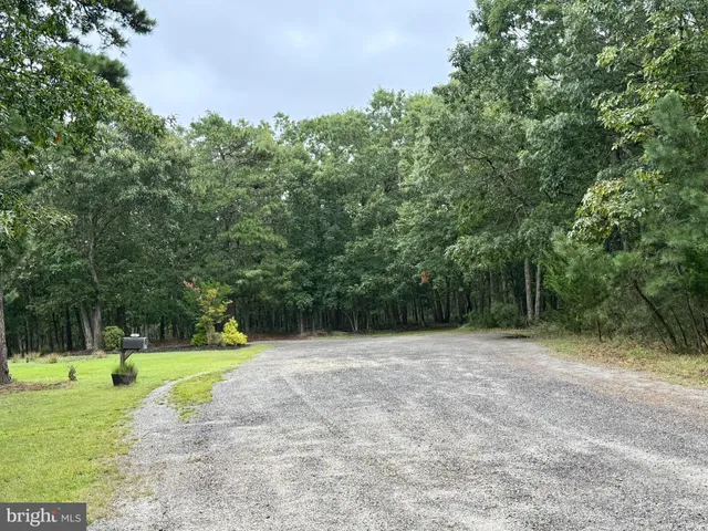 a view of a trees in a yard