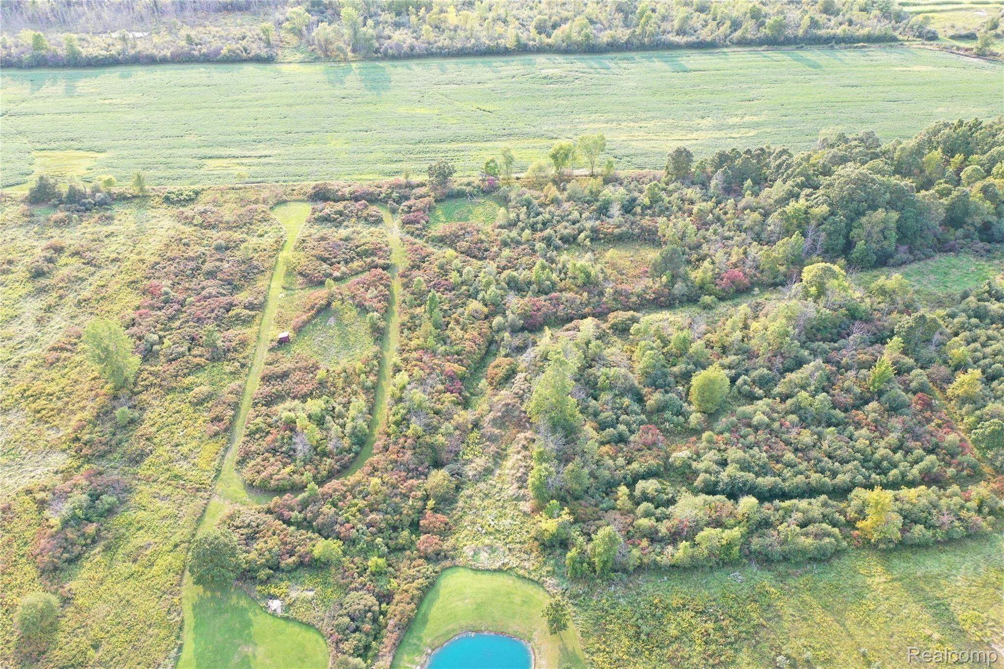 4073 Barth Road Capac, MI 48014 - Photo 49 of 55 DJI_0213.JPG