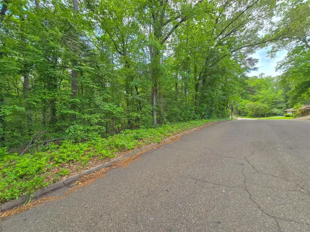 a view of a garden with plants