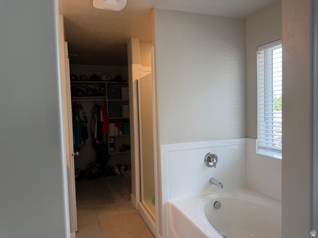 437 North 650 E Street Springville, UT 84663 - Photo 11 of 11 Soaking tub with chrome fixtures and a privacy window featuring horizontal blinds