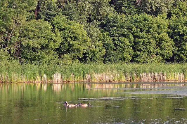 $79,900 | 6615 Lake Shore Drive South, Unit 603, Richfield, MN 55423