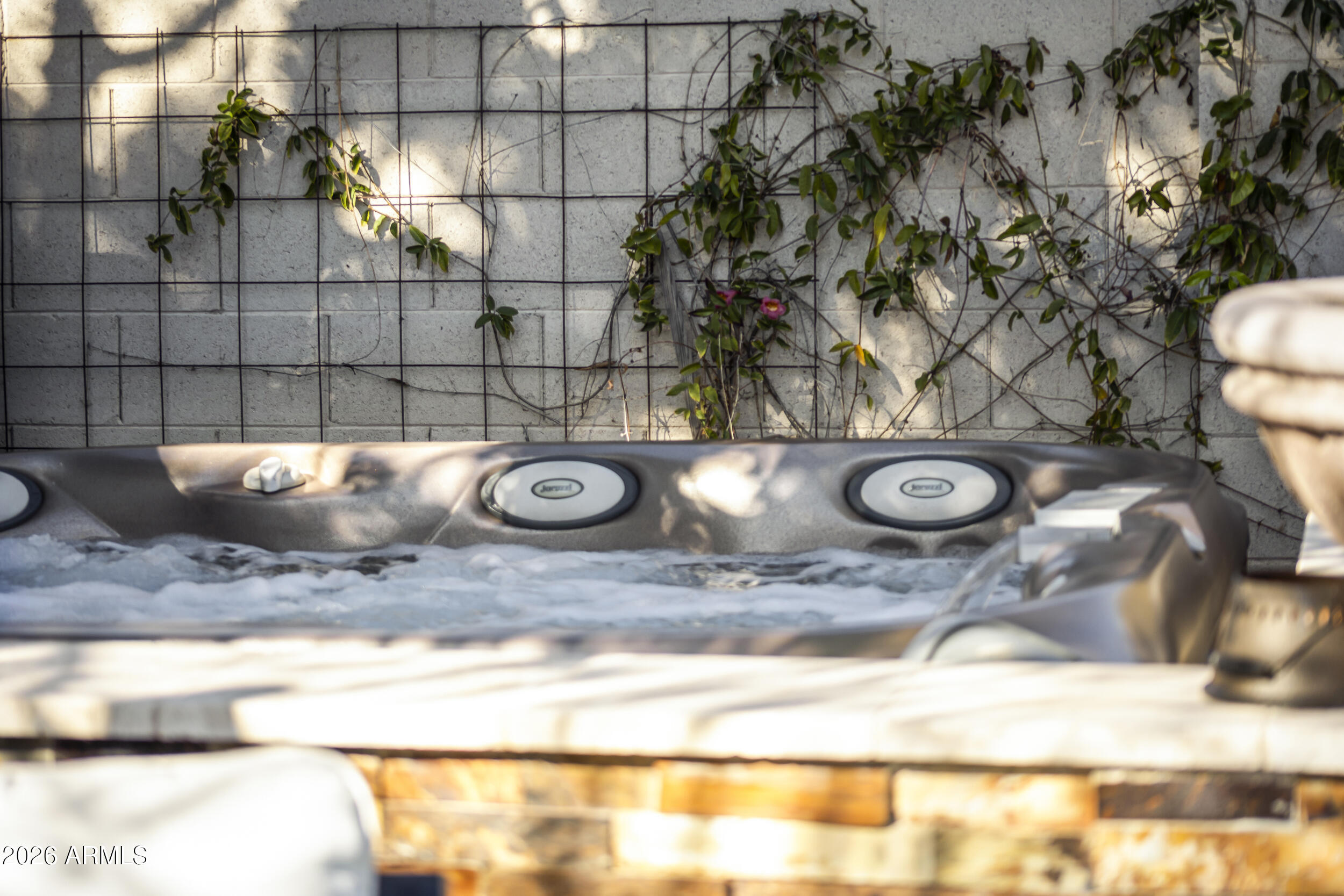 3580 East Azalea Drive Chandler, AZ 85286 - Photo 93 of 129 Hot Tub