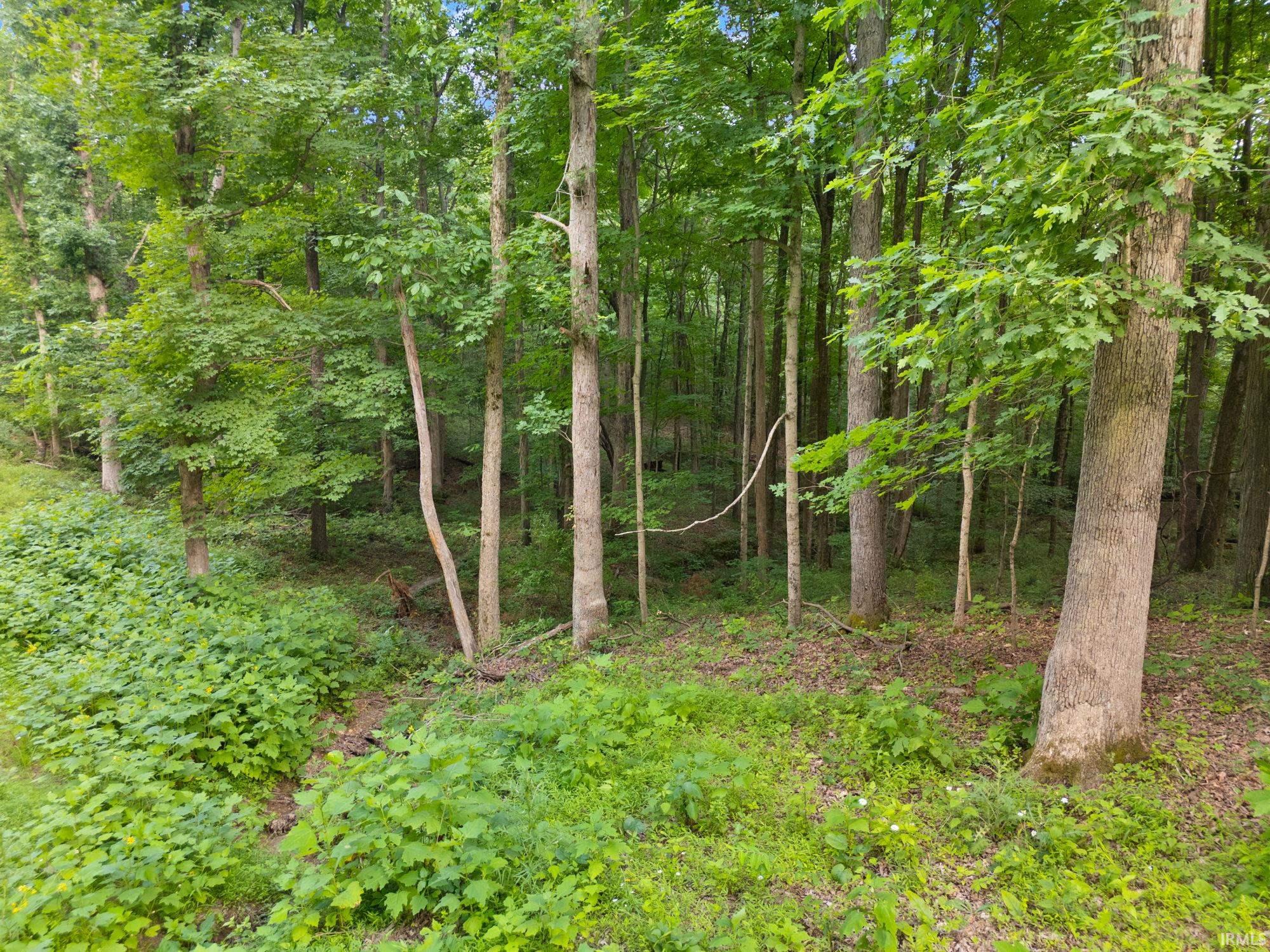 3681 Jericho Road Taswell, IN 47175 - Photo 18 of 30