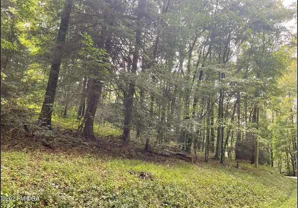 a big yard with lots of green space and trees