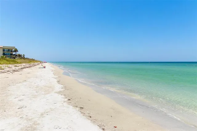 a view of a dry yard with a wooden fence
