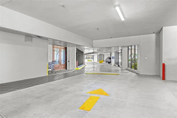 a view of ocean with a palm tree