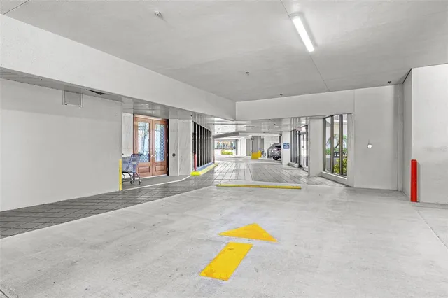 a view of ocean with a palm tree