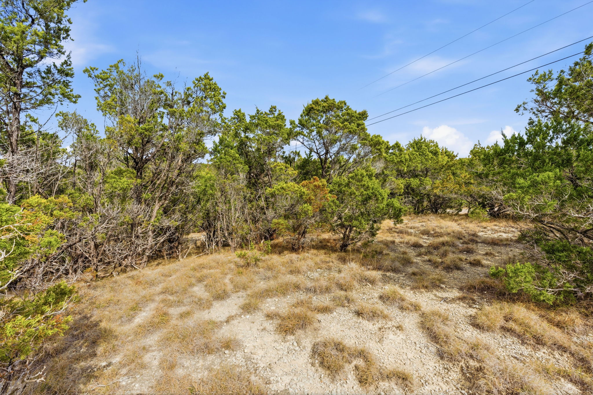 400 Sundown Ridge Austin, TX 78737 - Photo 11 of 21 View of local wilderness