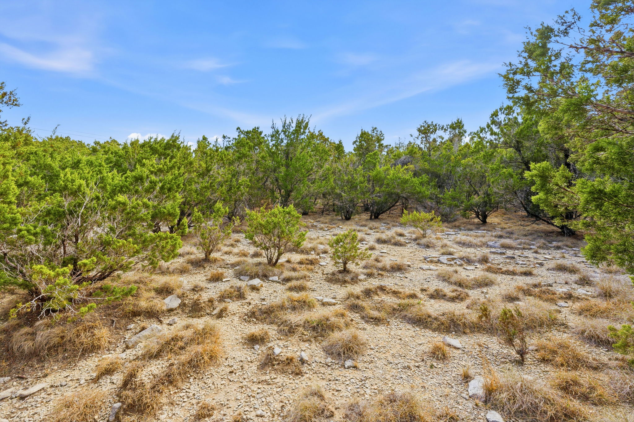400 Sundown Ridge Austin, TX 78737 - Photo 4 of 21 View of undeveloped land