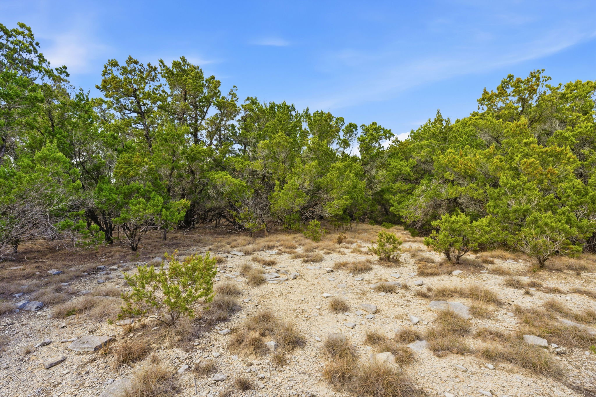 400 Sundown Ridge Austin, TX 78737 - Photo 8 of 21 View of nature