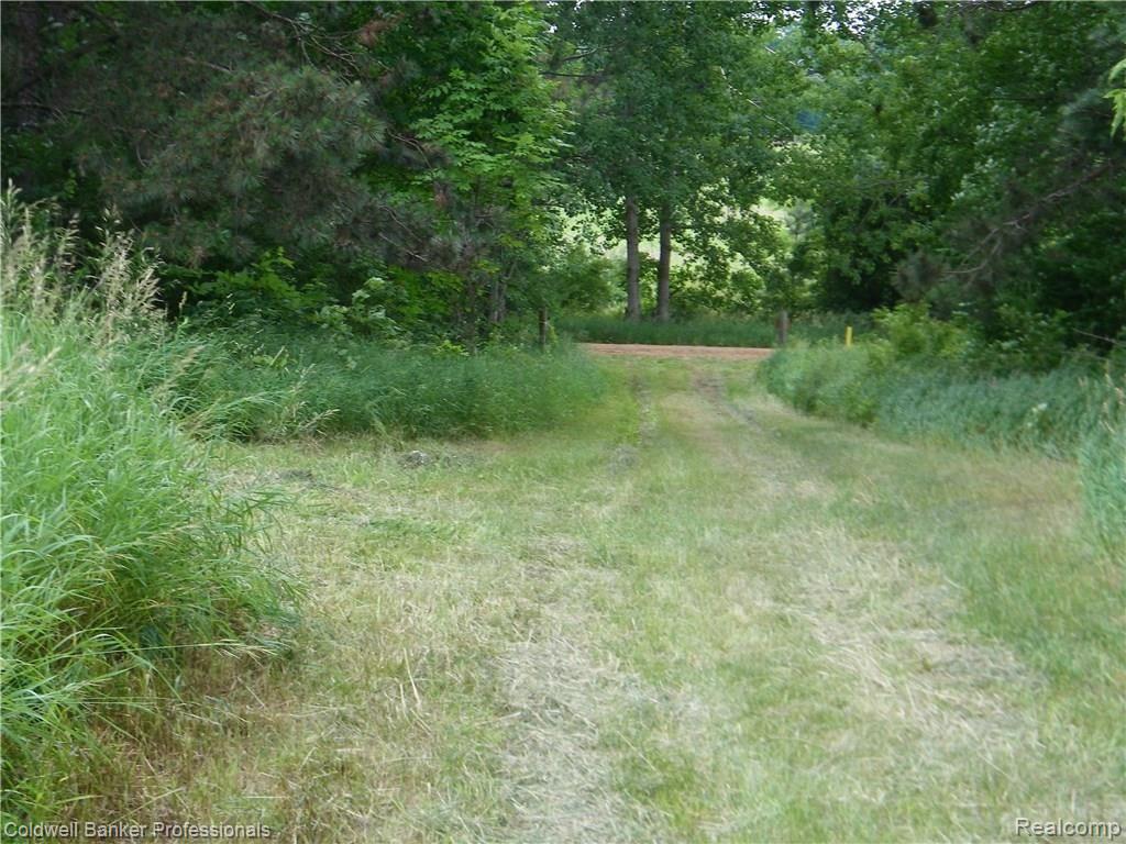 4770 Slattery Road North Branch, MI 48461 - Photo 15 of 17