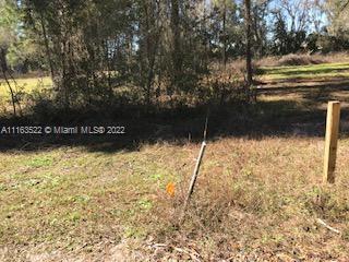 15280 Northeast 34th Terrace Citra, FL 32113 - Photo 11 of 37 a view of water pond with yard