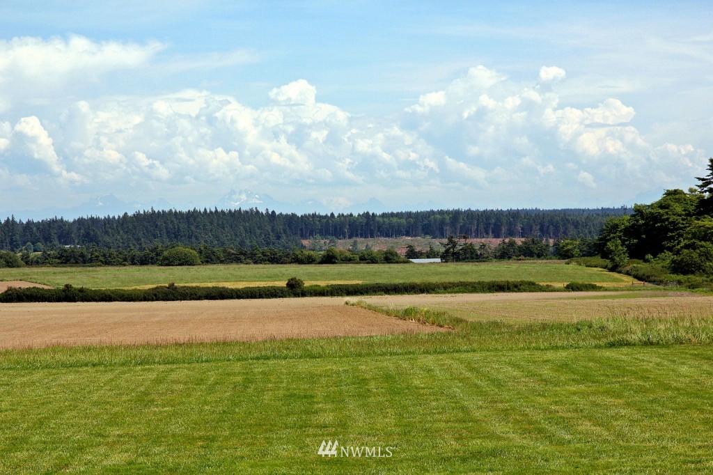 655 Engle Road Coupeville, WA 98239 - Photo 21 of 25 Gallery Image 21