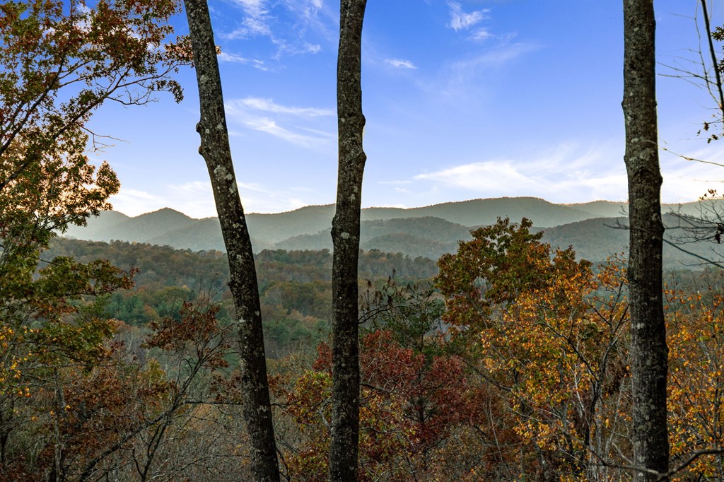 307 Cohutta Overlook Drive Blue Ridge, GA 30513 - Photo 10 of 61 Gallery Image 10