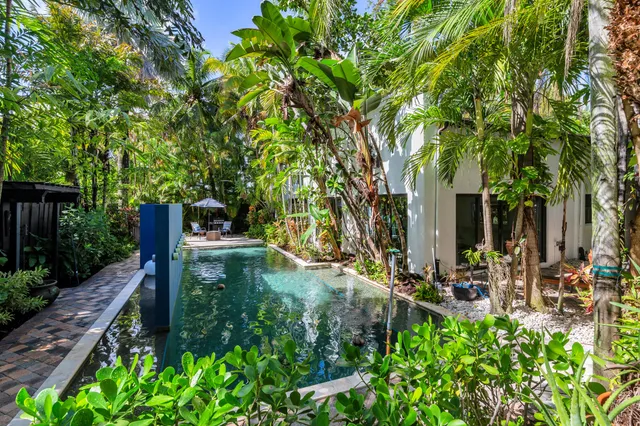 a view of a garden with plants