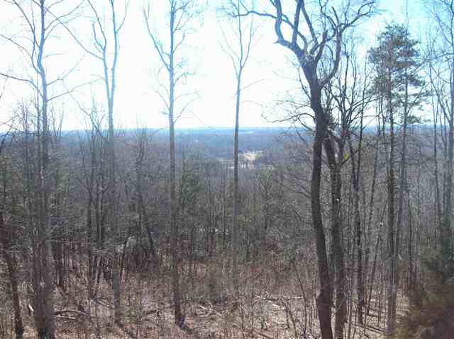 137 Packs Mountain Ridge Road Taylors, SC 29687 - Photo 12 of 12