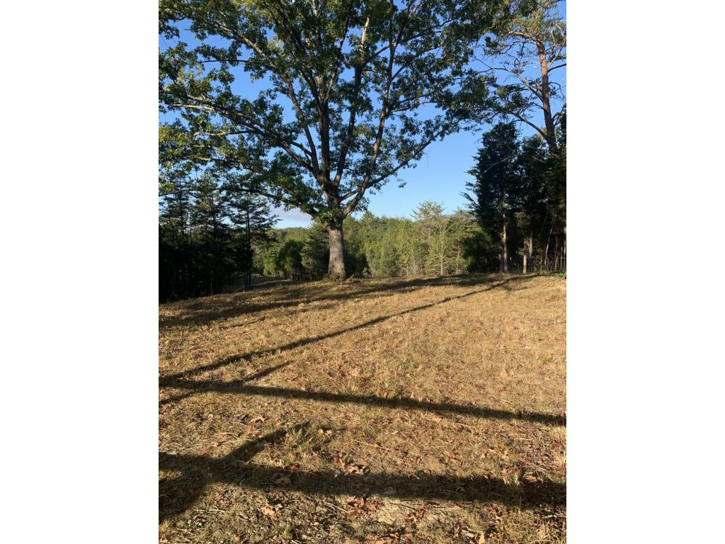 1 Saylor North Road Greeneville, TN 37745 - Photo 2 of 6 Photo 2