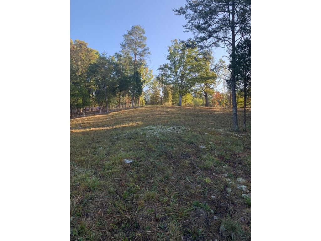 1 Saylor North Road Greeneville, TN 37745 - Photo 4 of 6 Photo 4