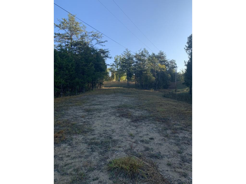 1 Saylor North Road Greeneville, TN 37745 - Photo 5 of 6 Photo 5
