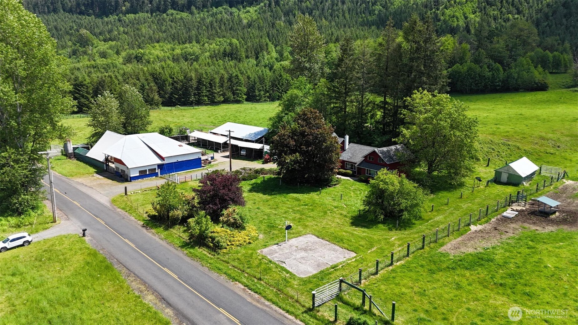 a view of a garden with plants