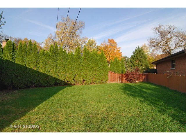 238 Lionel Road Riverside, IL 60546 - Photo 22 of 24 a view of a big yard with potted plants and large tree