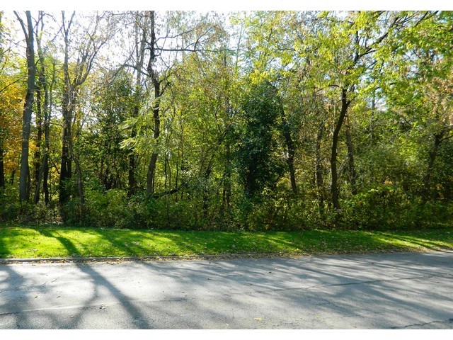 238 Lionel Road Riverside, IL 60546 - Photo 24 of 24 a view of a yard with a trees