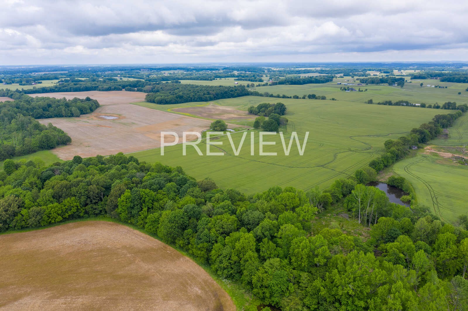 5264 James W Long Road Springfield, TN 37172 - Photo 1 of 25 Gallery Image 1
