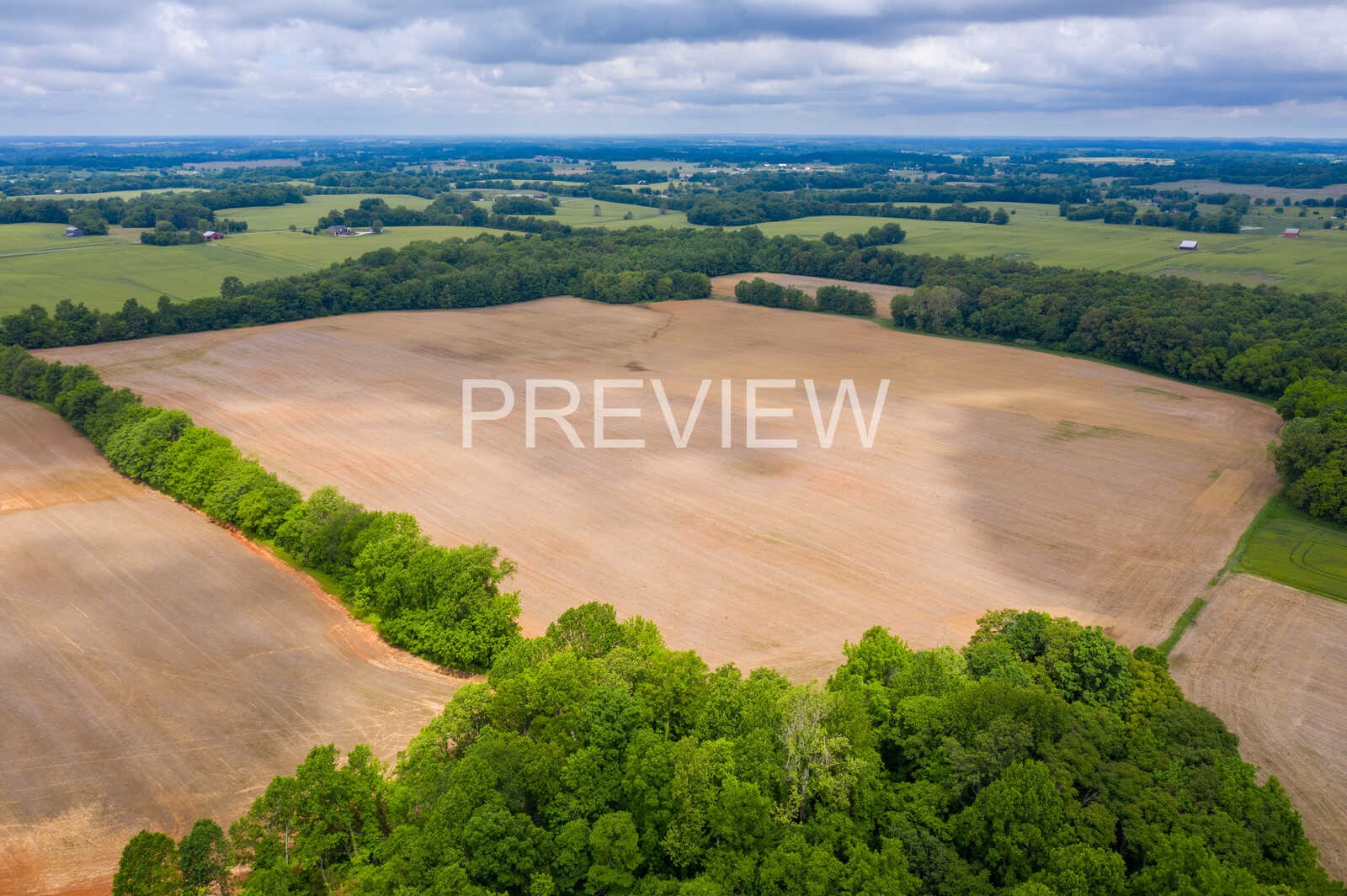 5264 James W Long Road Springfield, TN 37172 - Photo 12 of 25 Gallery Image 12