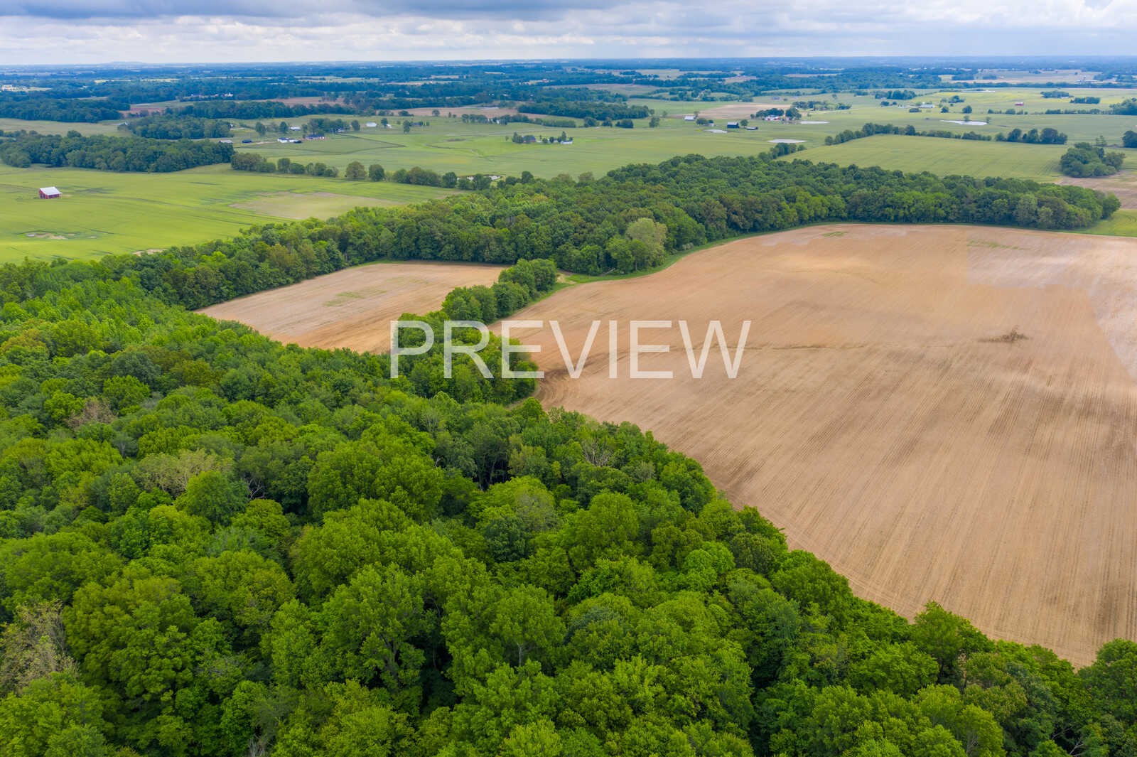 5264 James W Long Road Springfield, TN 37172 - Photo 15 of 25 Gallery Image 15