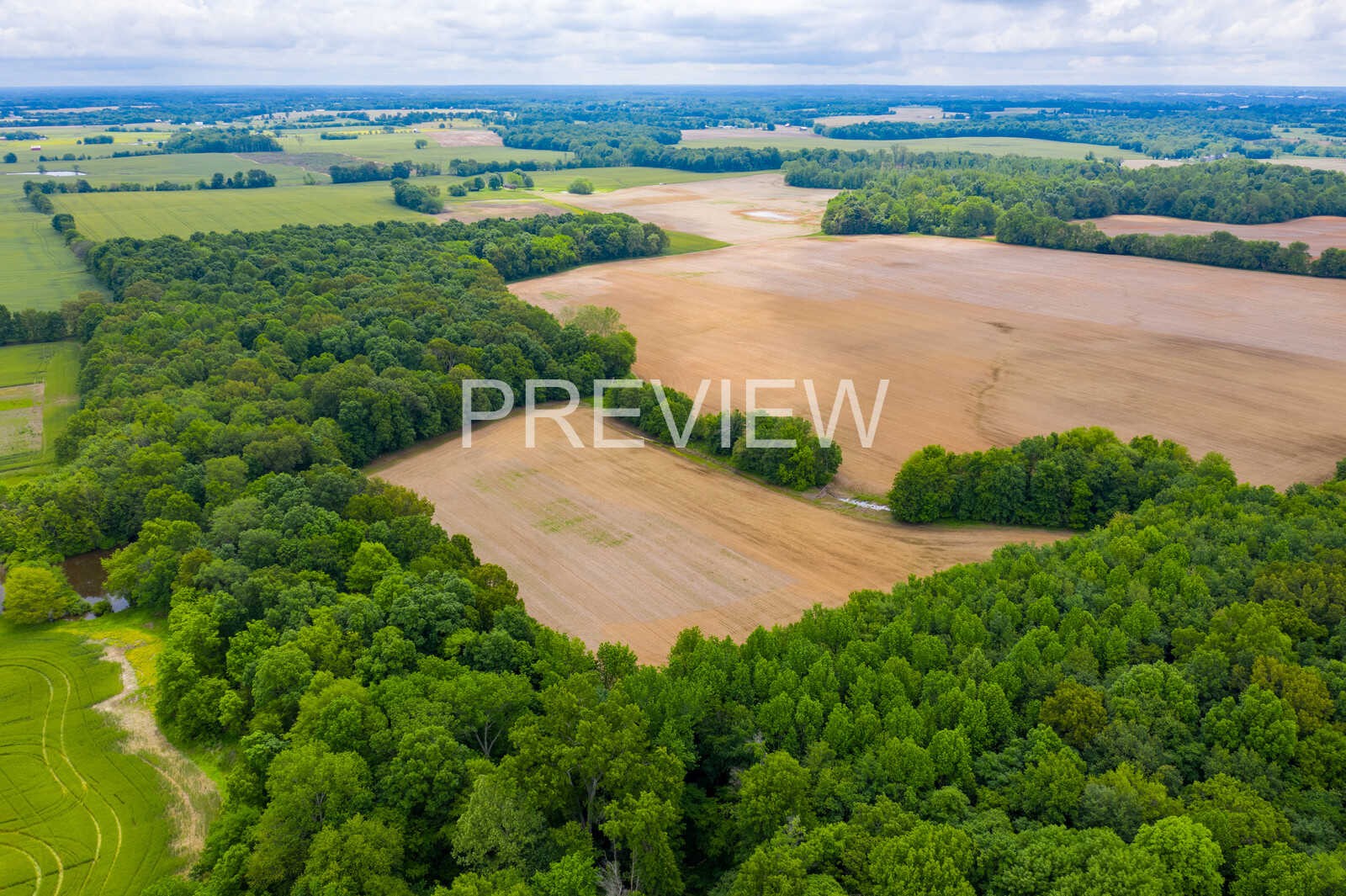 5264 James W Long Road Springfield, TN 37172 - Photo 17 of 25 Gallery Image 17