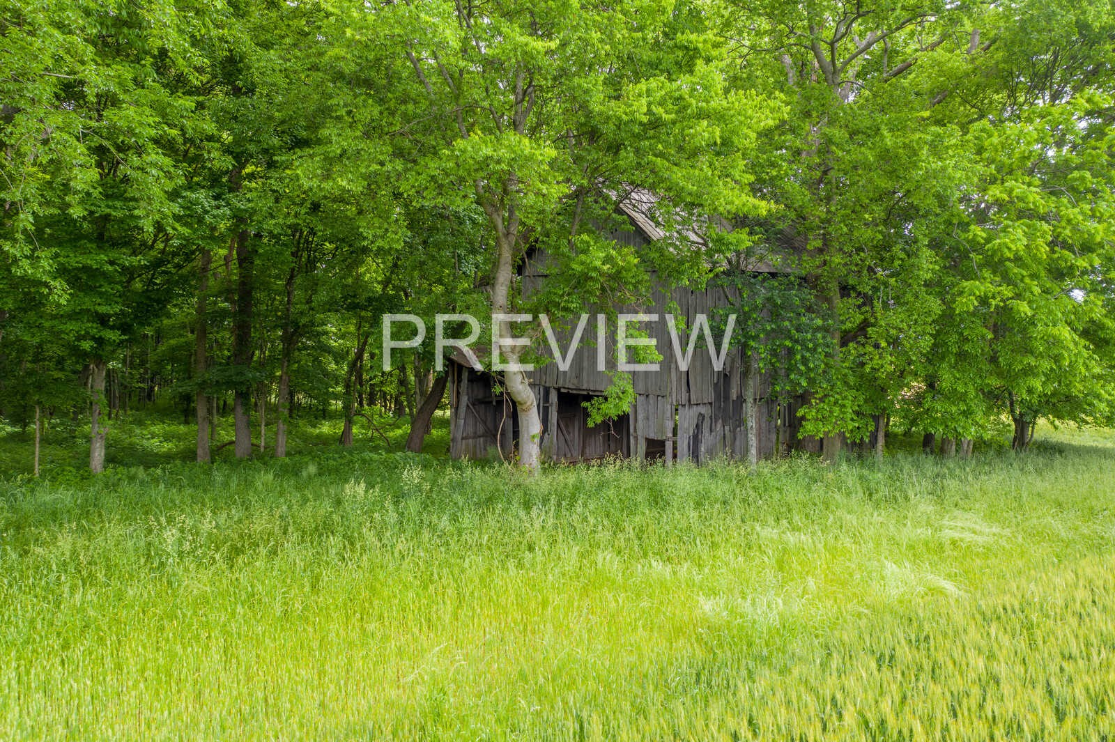5264 James W Long Road Springfield, TN 37172 - Photo 19 of 25 Gallery Image 19