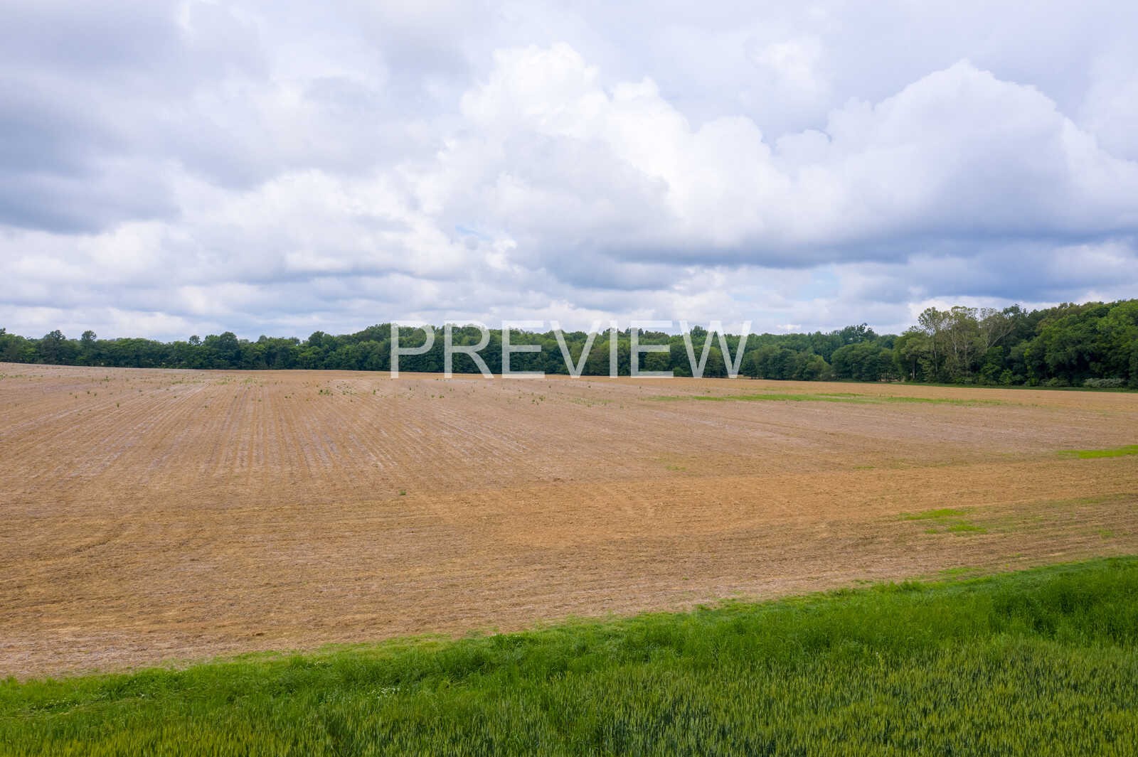 5264 James W Long Road Springfield, TN 37172 - Photo 20 of 25 Gallery Image 20