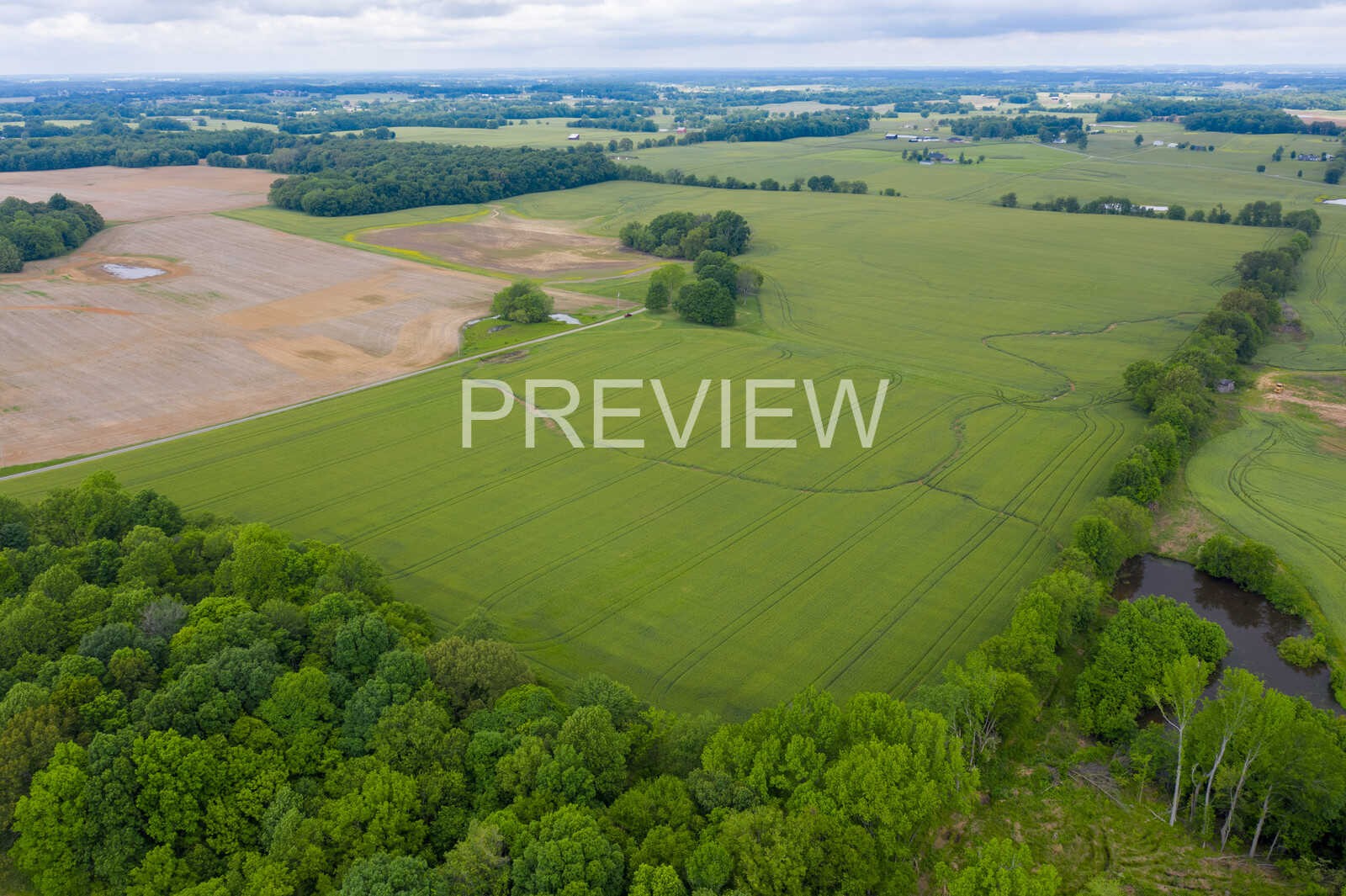 5264 James W Long Road Springfield, TN 37172 - Photo 2 of 25 Gallery Image 2